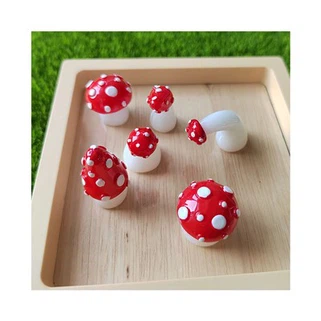 Ciuperci Mici Pentru Rășină